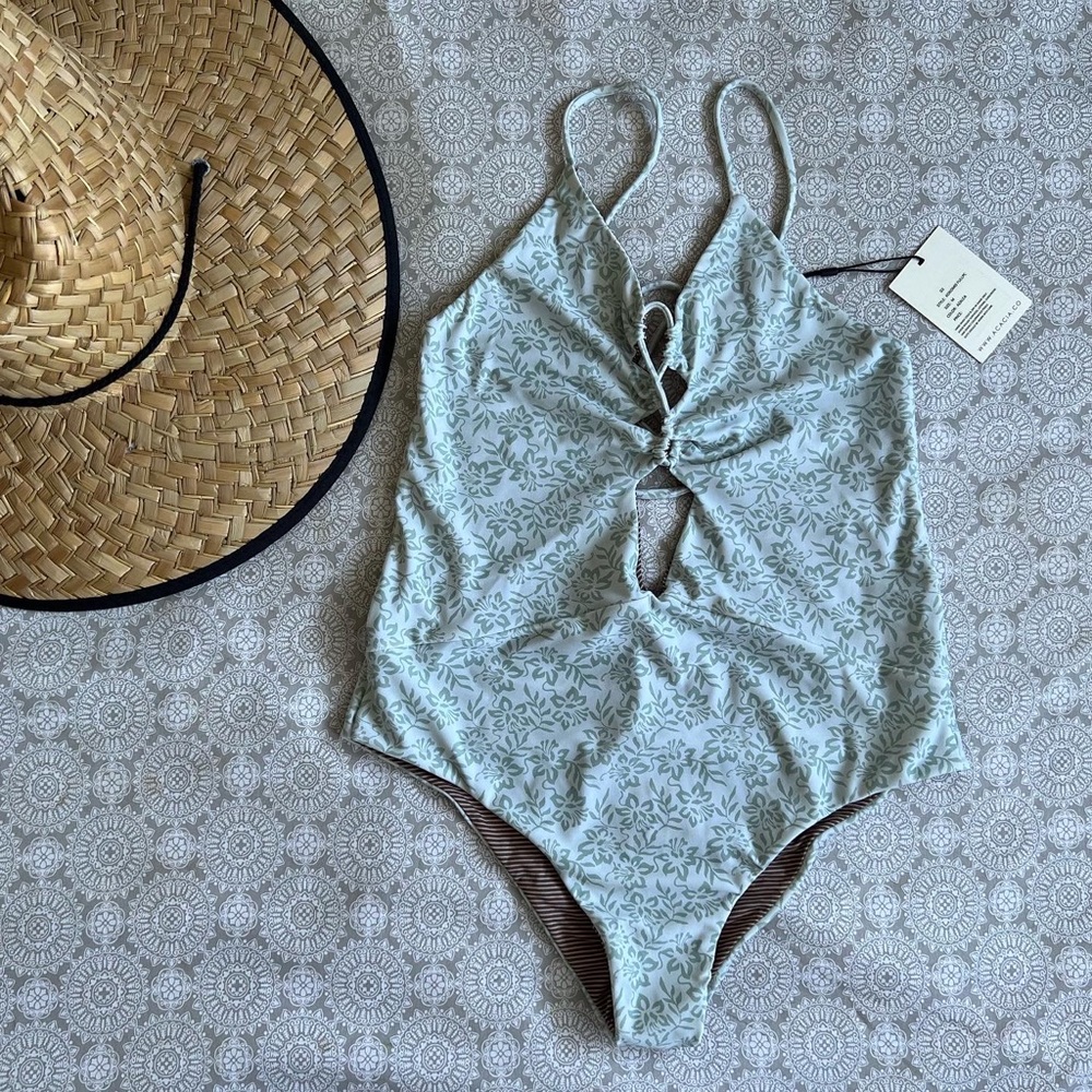 Acacia Azalea Kokomo